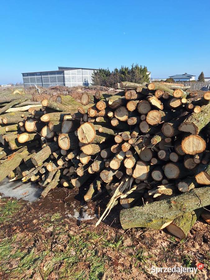 Drewno drzewo opałowe JABŁOŃ DĄB Grójec
