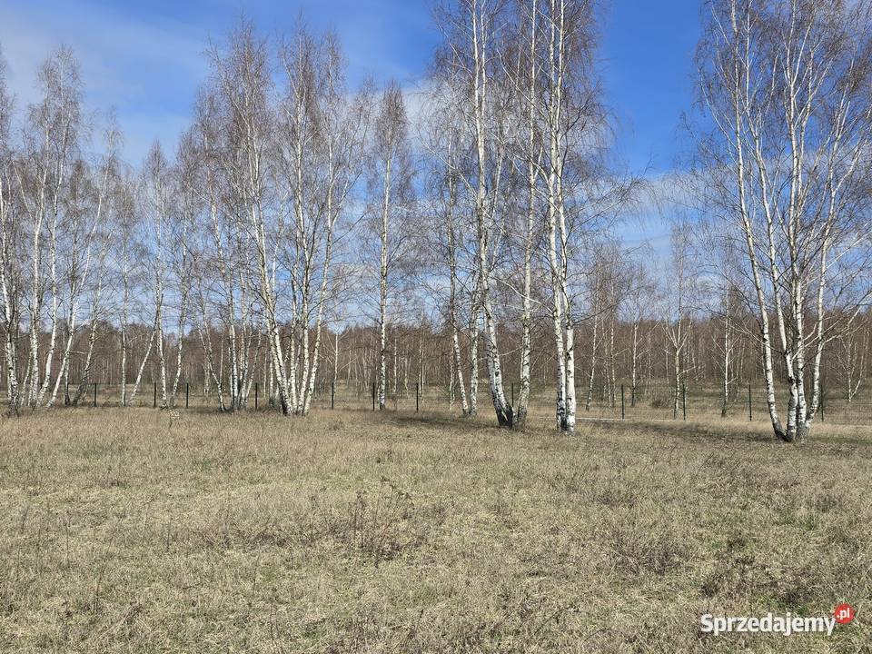 Jezioro Roś na szlaku WJM Budowlana z mediami 1501m2 Szczechy Małe