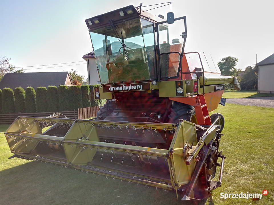 Dronningborg D7000S wyjątkowa wersja Borówek