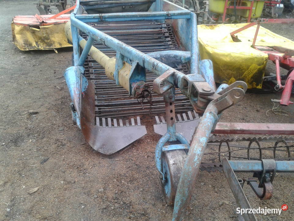 kopaczka do ziemniaków elewatorowa świętokrzyskie Nowa Słupia