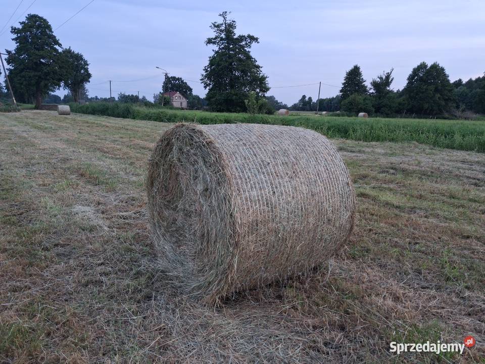 Zbieram rezerwacje na Siano w belach i kostkach
