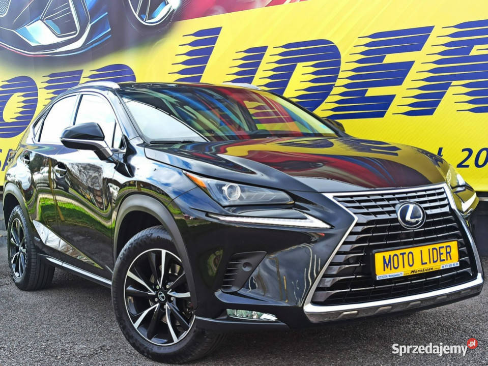 Lexus NX Salon 2 wł AWD Bogata Wer Serwis VAT marża Rzeszów