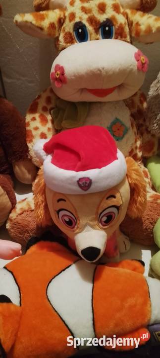 Pluszaki maskotki kolorowy Czarnocin