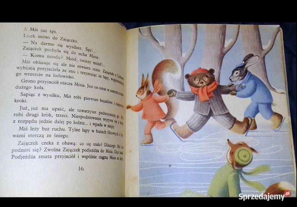 Miś na lodzie Borys Łaskin Rok wydania 1954 Chełm