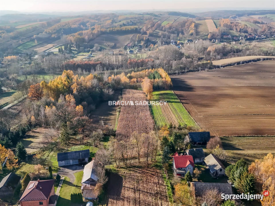 Grunt Przesławice 6000m2 szambo