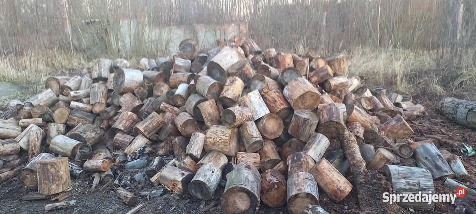 Drewno opałowe sezonowane Strzeleczki