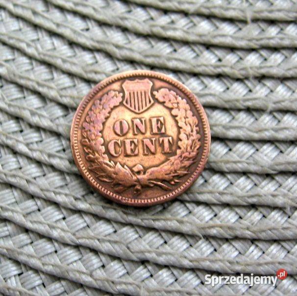 USA 1 Cent 1907r Głowa Indianina Kalisz