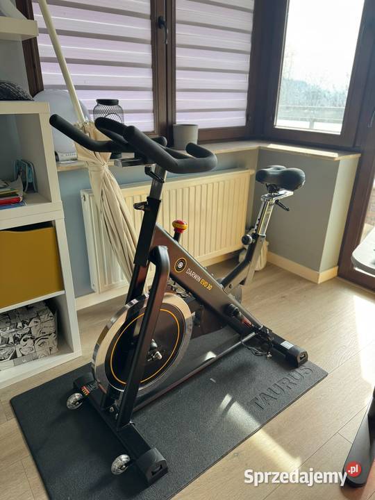 Rower treningowy Darwin indoor cycle Speedcycle sprzedam