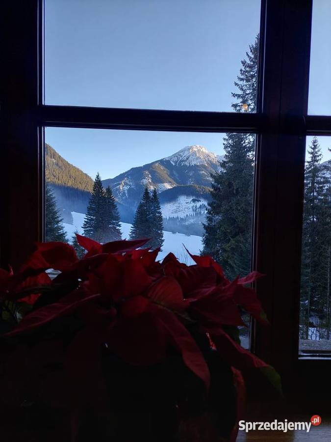 Transfer w Góry Transport Osobowy do 8 osób Kalwaria Zebrzydowska