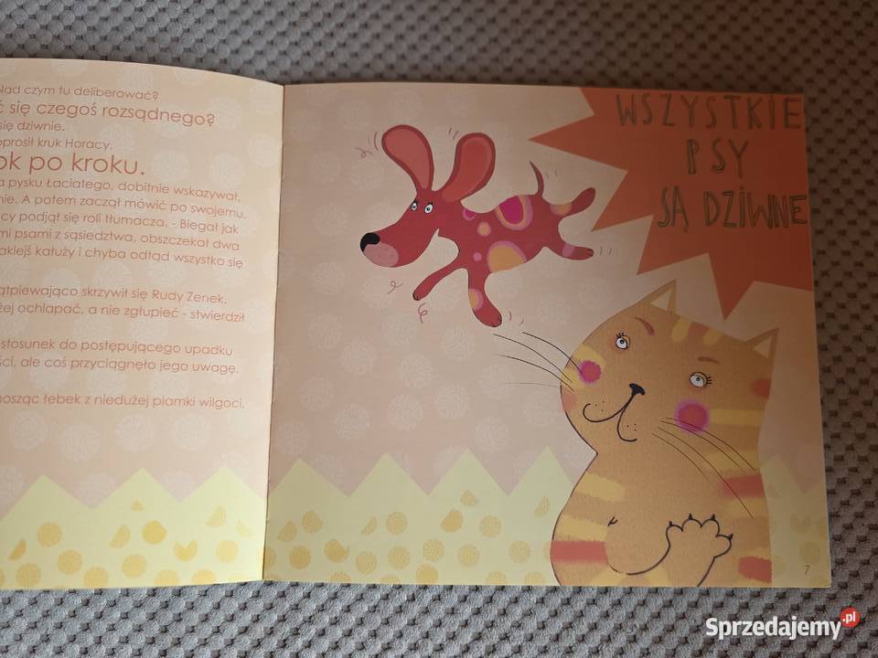 Zwariowana kałuża Danuta Parlak Kraków sprzedam