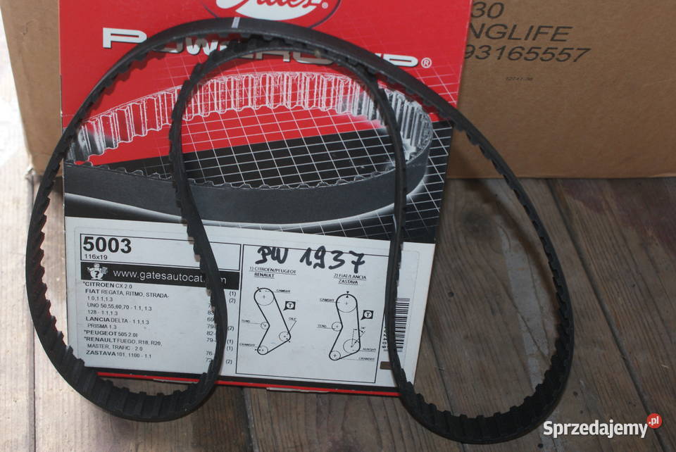 GATES PASEK ROZRZ116Z UNO REGATA 5003 mazowieckie Białobrzegi