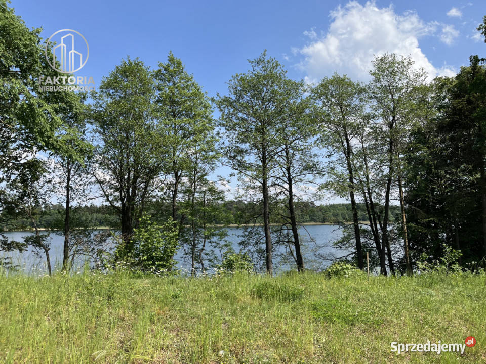 Grunt Dąbrówno 2500m2 Grunty i działki sprzedam