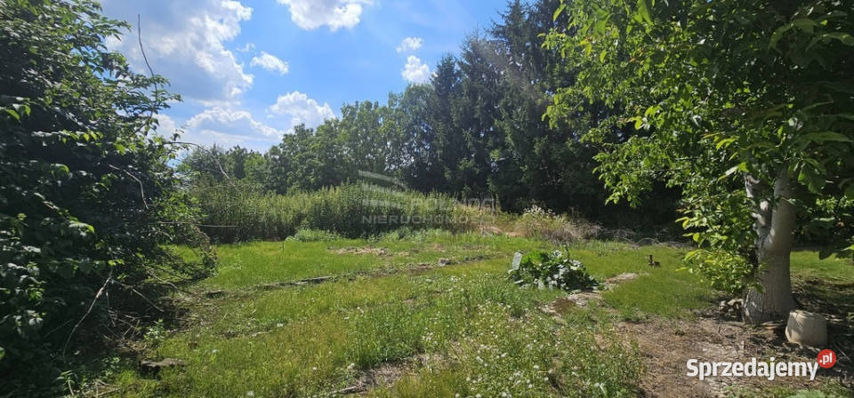 Działka budowlanoinwestycyjna na sprzedaż Kazimierzówka