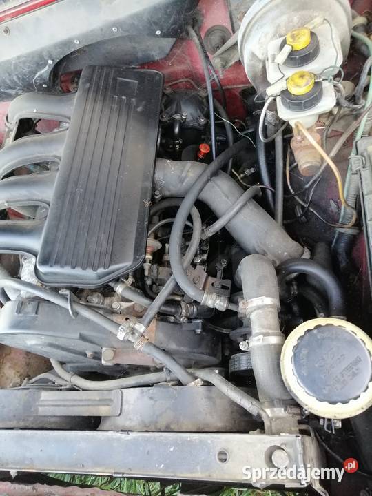 Silnik 19 xud citroen suzuki fiat polonez Suskowola sprzedam