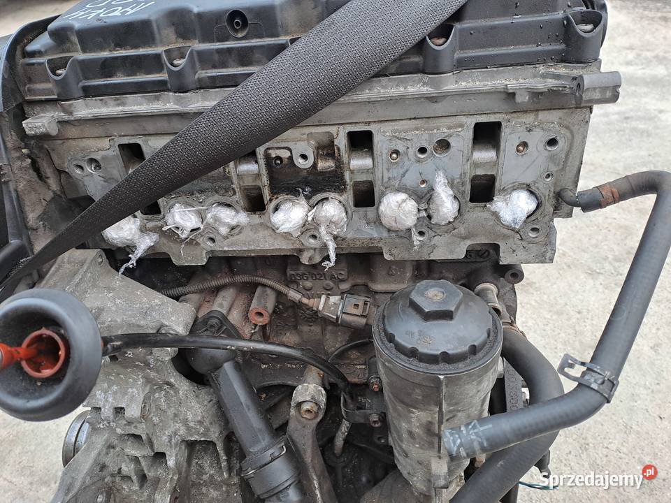 Audi Seat Skoda Volkswagen silnik kompletny 20 Rok produkcji 2007 Jastrzębie-Zdrój