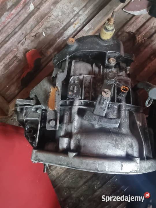 skrzynia biegów 19 DCI DTI 5 biegów Renault świętokrzyskie Bodzentyn