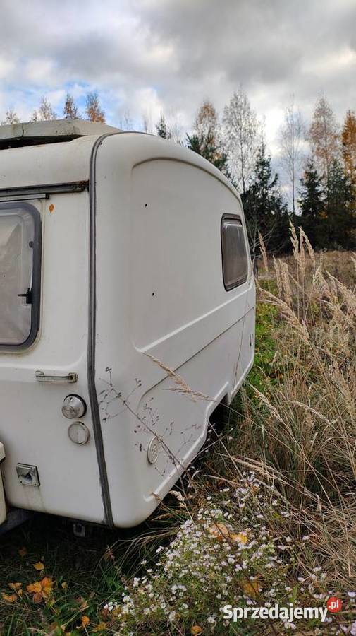 Niewiadów n126 zarejestrowana 100kg Kempingowe Płońsk