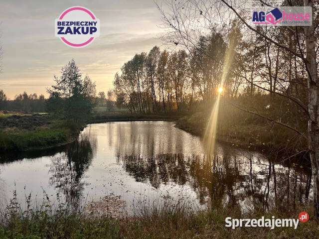 Grunt 2346m2 Pomlewo Kasztanowa