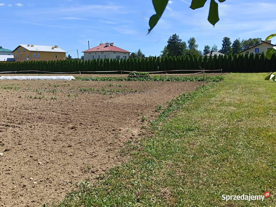 Działka budowlana na sprzedaż w Korczynie 4050m2 podkarpackie Korczyna