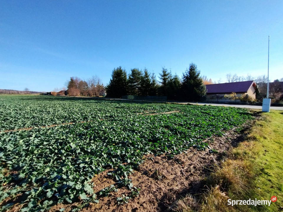 Działka 2000m2 Osowa budowlana lubelskie