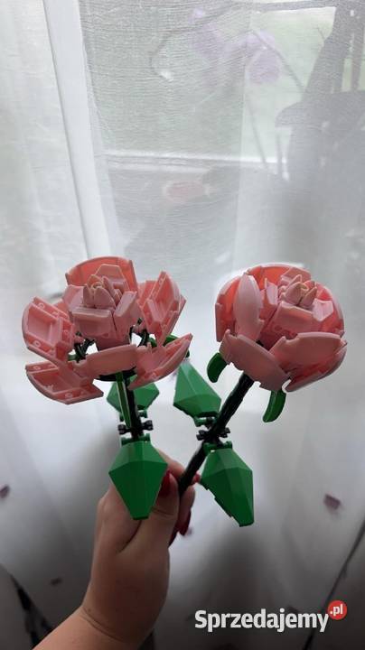 RÓZA DO SKŁADANIAKLOCKI Łódź