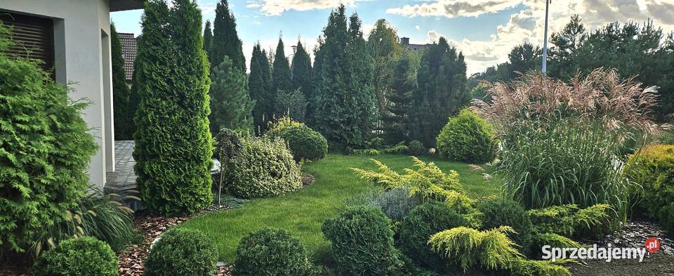 Oferuję na sprzedaż słoneczny dom plaży w do zamieszkania Ślesin