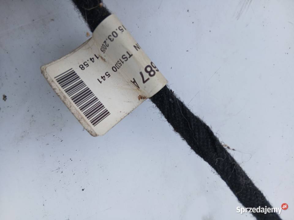 Audi A6 C6 Wiązka drzwi lewy tył 4F1971687 Szczerbice