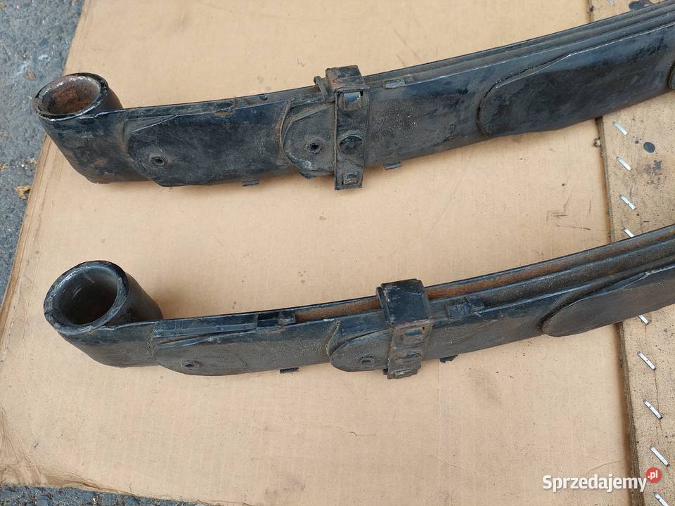 Resory do żuka dolnośląskie Mirsk