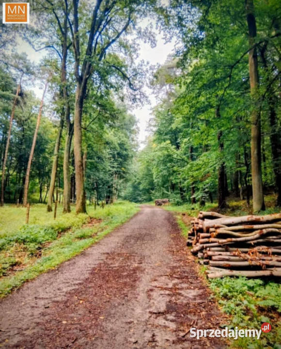 Sprzedaż działki 1016m2 Marszowice sprzedam