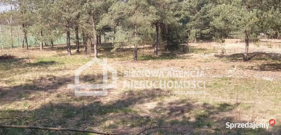 Grunt 7053m2 Nierostowo pomorskie sprzedam