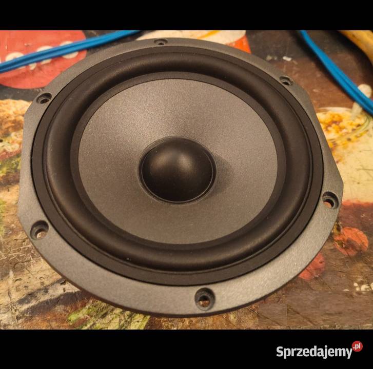 Głośniki niskotonowe Focal JMLab Monitor Audio Wierzchosławice