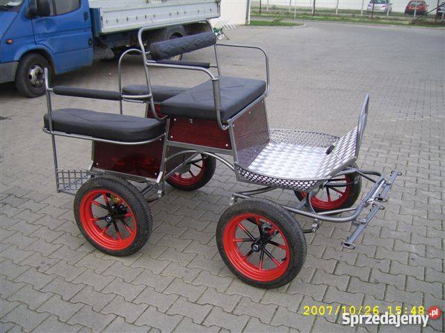 bryczka konna powóz konny wagonetta producent do Leszno