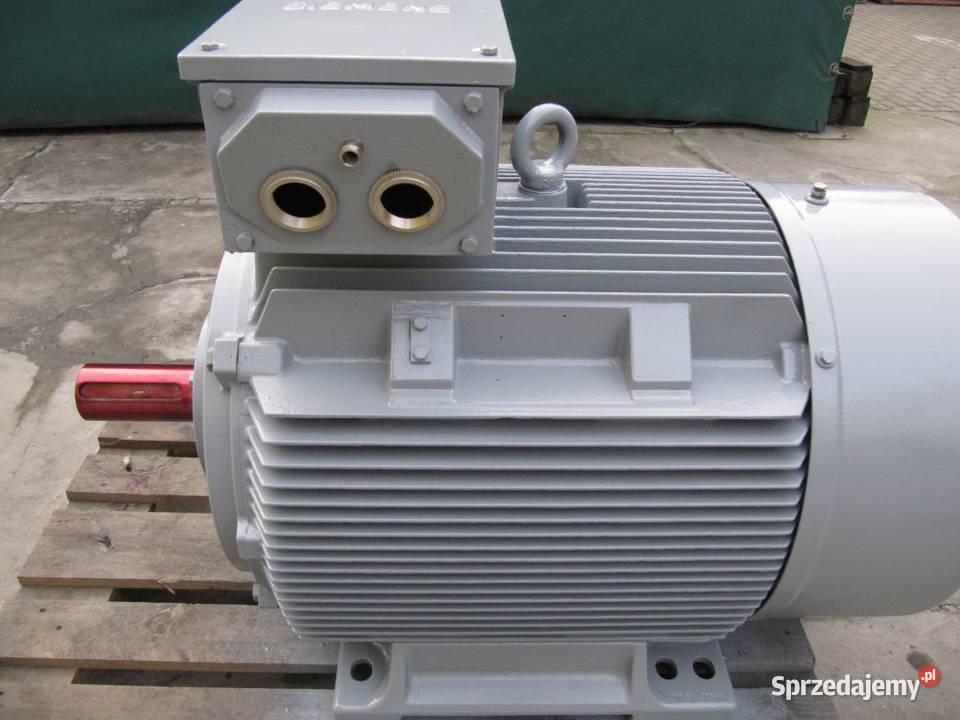Silnik elektryczny 160 Kw 2900 obr Szamotuły