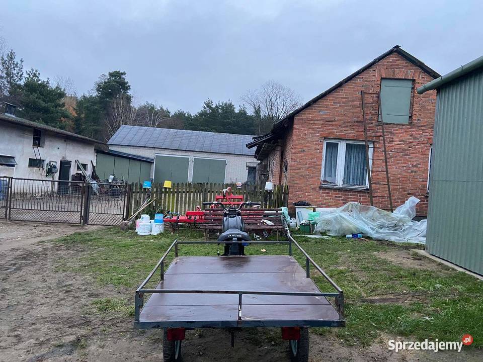 Wsk Dzik WSK Wodynie