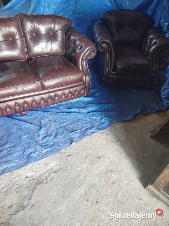 Chesterfield angielski lubelskie