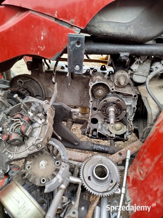 Quad 150200 automat Kostry-Noski