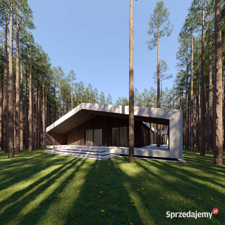Architekt domów indywidualne projekty domów Łódź