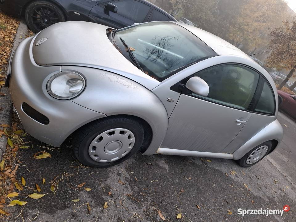 Beetle benzyna Ostrowiec Świętokrzyski