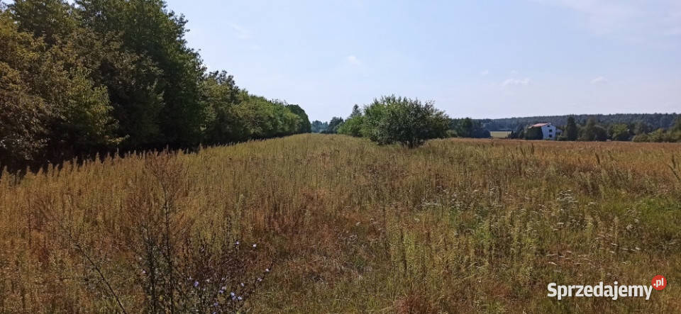 Siemiatycze Żeromskiego DZIAŁKA BUDOWLANA