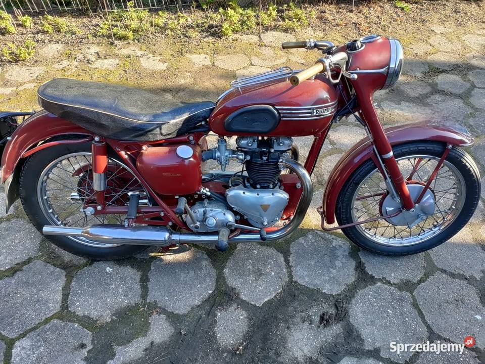 Triumph Speed Twin 5T Jarocin