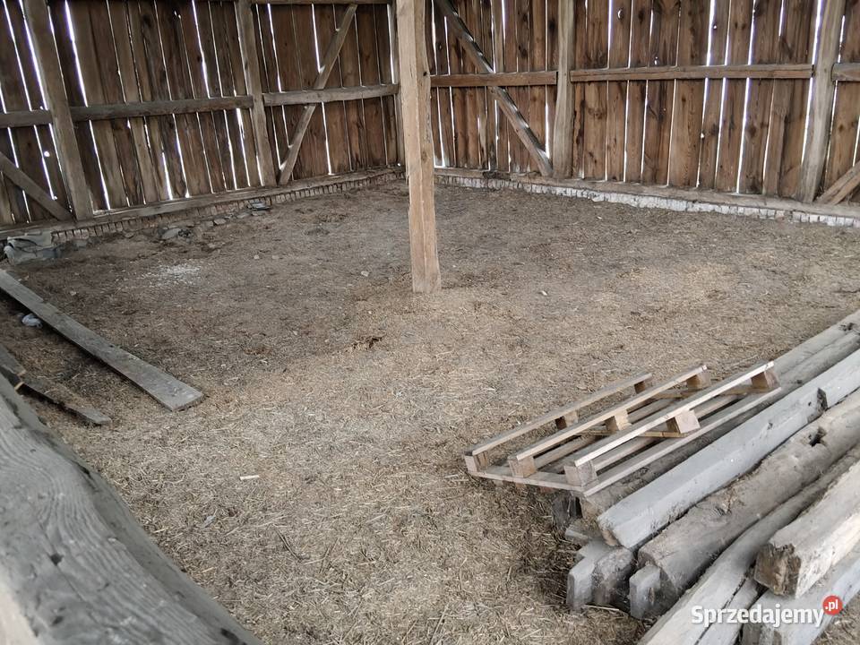 Pomieszczenie magazynowe przechowalnia wielkopolskie Krotoszyn