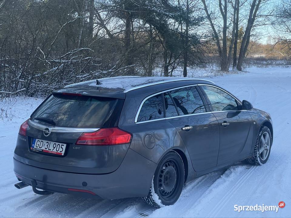 Opel Insignia 20cdti 130koni wielkopolskie Poznań