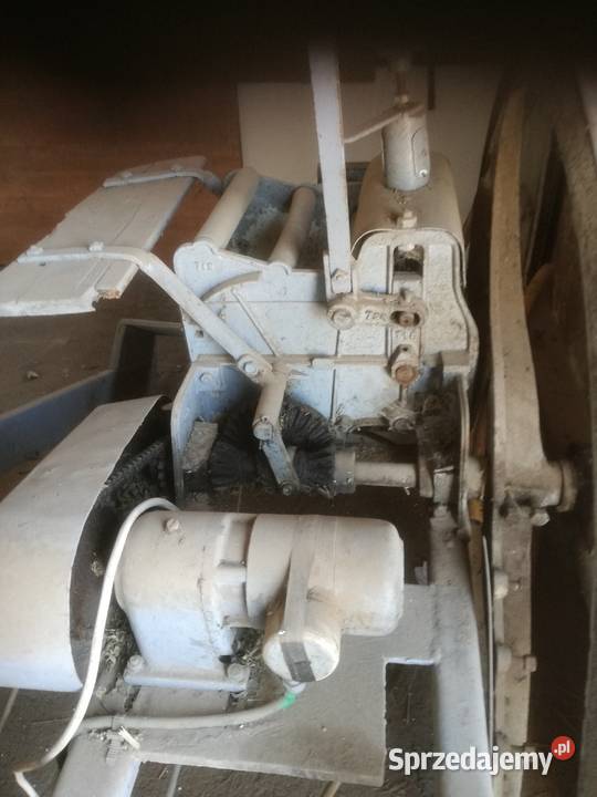 Krajalnica do ziol Kruszwica