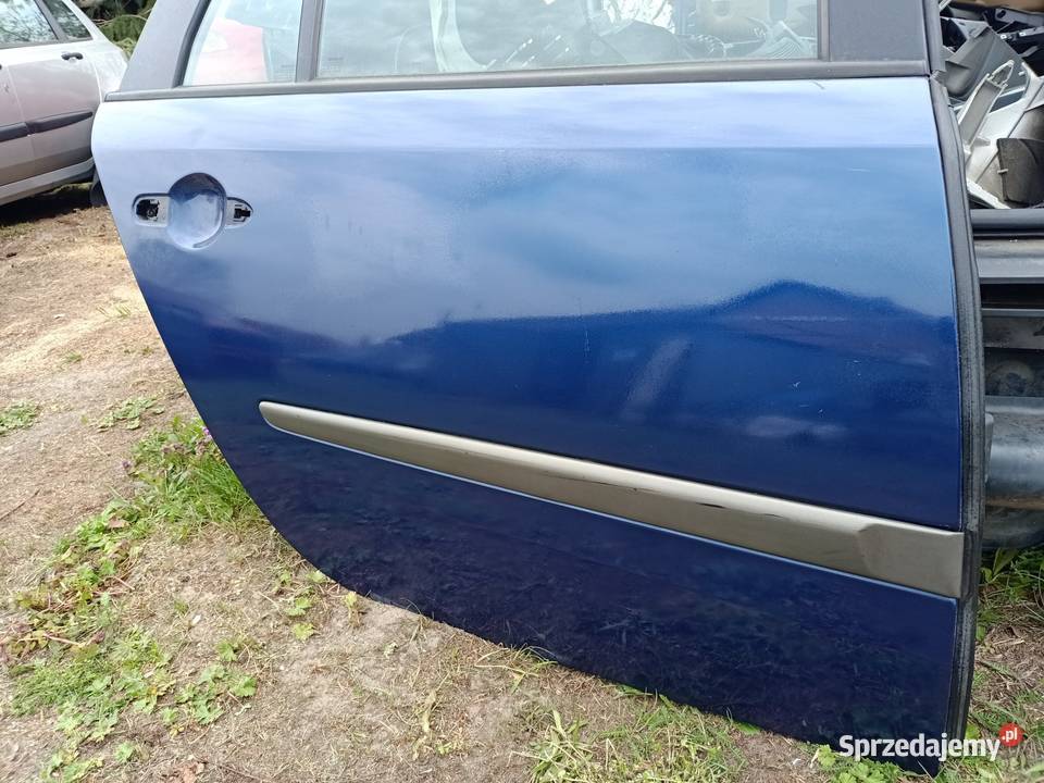 drzwi prawe tył tylne renault laguna II Ted 44 części blacharskie Szczecin sprzedam