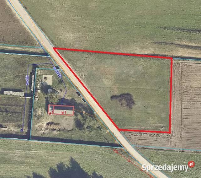 Wyjątkowa działka budowlana 2450 m Łuczywno gm asfalt wielkopolskie