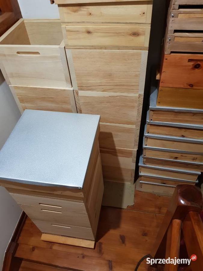 Rodziny i odklady pszczele Sklenar G10 i H47 Sucha Beskidzka