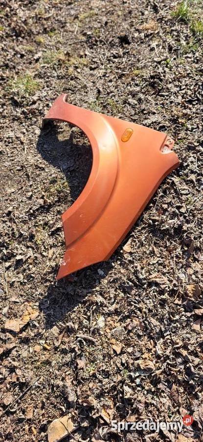 Błotnik Prawy Ford Fiesta MK6 przed FL Żabno