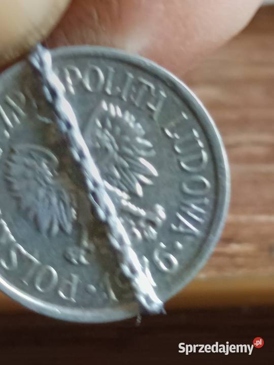 Sprzedam 10 gr 1976r mala skretka Chełm