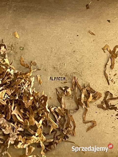 Tabakiera z herbem Lwowa 1858 r małopolskie