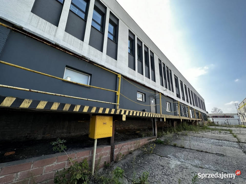 Syndyk sprzeda budynek magazynowo usługowy śląskie Sosnowiec sprzedam